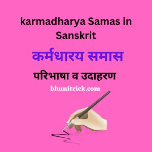 karmadharaya Samas in Sanskrit,